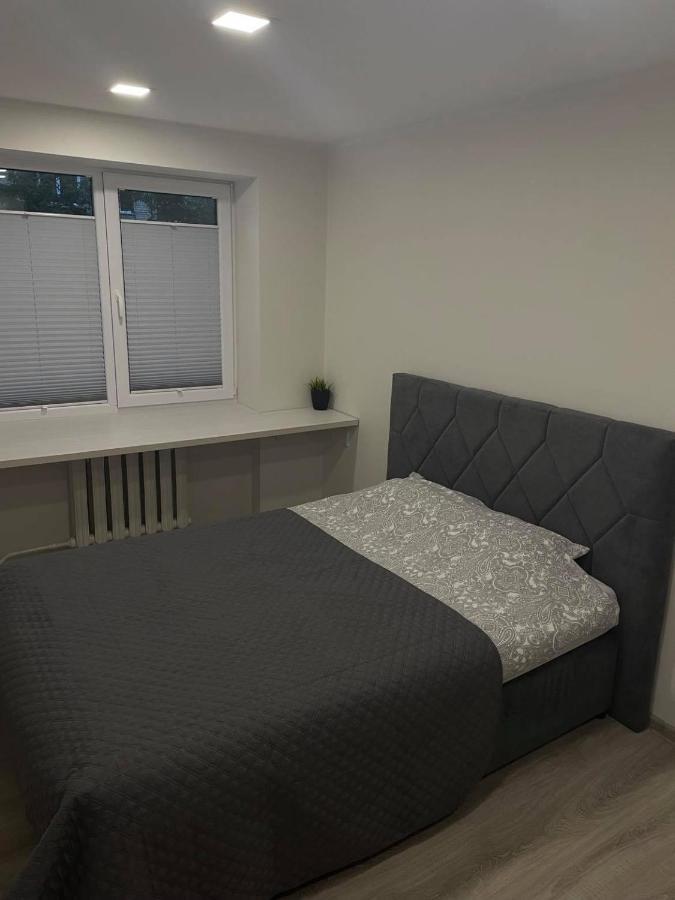 Butas Miesto Centre Apartment Panevėžys Екстериор снимка